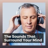 The Sounds That Surround Your Mind