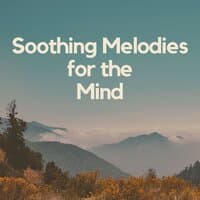 Soothing Melodies for the Mind