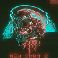 NEW DXWN 2