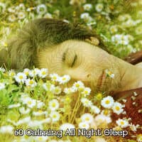 60 Calming All Night Sleep