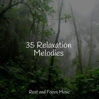 35 Relaxation Melodies