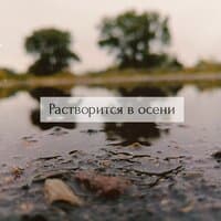 Растворится в осени