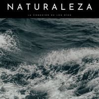 Naturaleza: La Conexión De Los Ríos