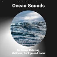 #01 Ocean Sounds for Sleep, Relaxing, Wellness, Background Noise