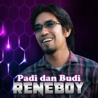 Padi dan Budi