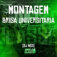 Montagem Brisa Universitaria