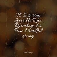 25 Inspiring Loopable Rain Recordings for Pure Mindful Living