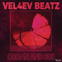 Organ and 808