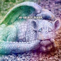 61 Select Sleep