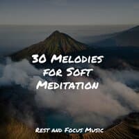 30 Melodies for Soft Meditation