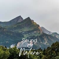 Sound of Nature