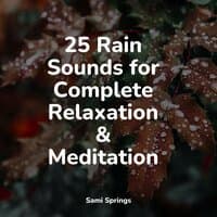 25 Rain Sounds for Complete Relaxation & Meditation