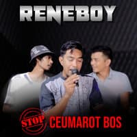 Stop Ceumarot Bos