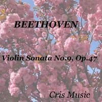 Beethoven: Violin Sonata No.9, Op. 47: II. Andante con variazioni