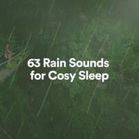 63 Rain Sounds for Cosy Sleep