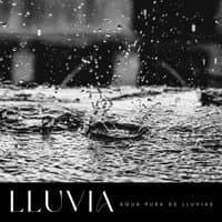 Lluvia: Agua Pura De Lluvias