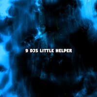 9 DJS Little Helper