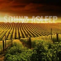 Sound Asleep: Relaxing Farm Ambience