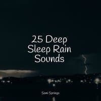 25 Beautiful Rain Sounds