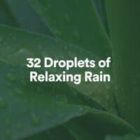 32 Droplets of Relaxing Rain