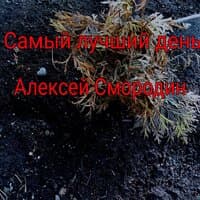 Самый лучший день