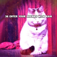 36 Enter Your Dreams With Rain