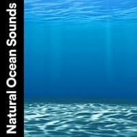 Natural Ocean Sounds