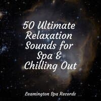 50 Ultimate Relaxation Sounds for Spa & Chilling Out