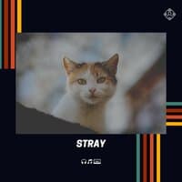 Stray