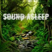 Sound Asleep: Deep Jungle Ambience 2