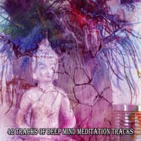 42 Tracks Of Deep Mind Meditation Tracks