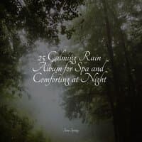 25 Calming Rain Album for Spa and Comforting at Night