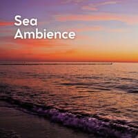 Sea Ambience