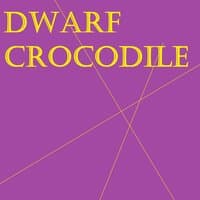 Dwarf Crocodile