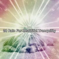 28 Rain For Beautiful Tranquility