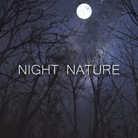 Night Nature