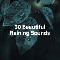 30 Beautiful Raining Sounds