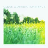 CLEAR MORNING ANBIENCE