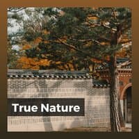 True Nature