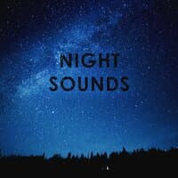 Night Sounds: 1 Hour of Peaceful Relaxation to Sleep