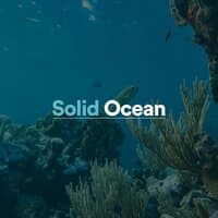 Solid Ocean