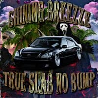 TRUE SLAB NO BUMP