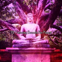 72 Calming Sounds for Peace