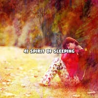 41 Spirit of Sleeping