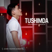 Tushimda (cover Yusufxon Nurmatov)