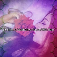 28 Enter a Meditative Trance with Rain