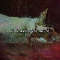 71 Calming Rest Auras