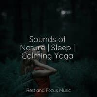 Sounds of Nature | Sleep | Calming Yoga