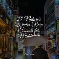 25 Nature's Winter Rain Sounds for Meditation