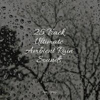 25 Track Ultimate Ambient Rain Sounds